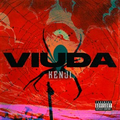 🕷VIUDA  (PROD BY) x KENJI 🕷