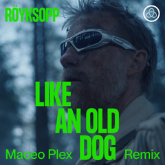 Like An Old Dog (Maceo Plex Remix) [feat. Pixx]
