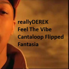 Feel The Vibe - Cantaloop Flipped Fantasia (reallyDEREK FLIP)
