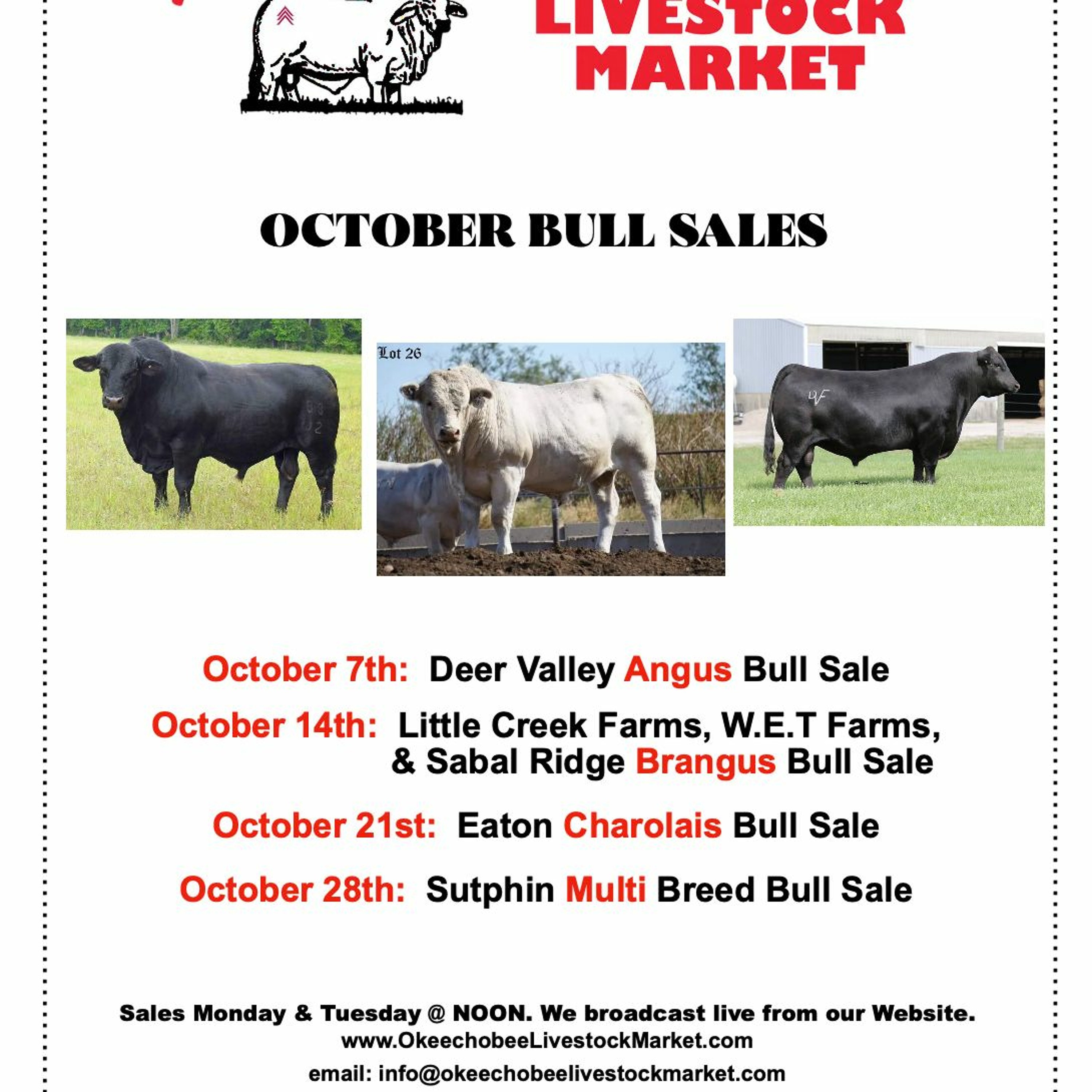 Cattle Talk with Todd