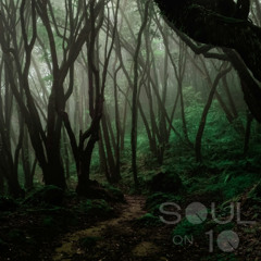 Atmospheric Jungle DnB Mix 17 (Mystic Riddims I) 170 BPM