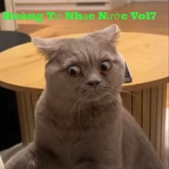 Hoàng Tử Nhạc Nước Vol7 - Nam Mouse remixxxxx