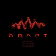 ADAPT - CULTURE BOX [NILU & FRIENDS] 2025