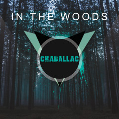 In The Woods