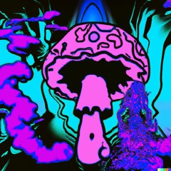 Funky Funguy Vol. 2