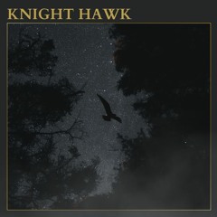 Knight Hawk