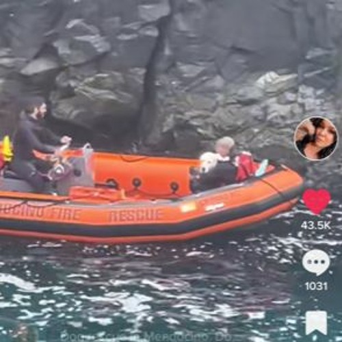 Stream Viral TikTok Videos Show Dog Rescue in Mendocino by KMUD News