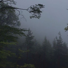 лампабикт - королева