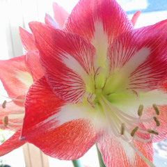 1624 Sous Kontrol and Test de Proximité 20 mai 2025 Master