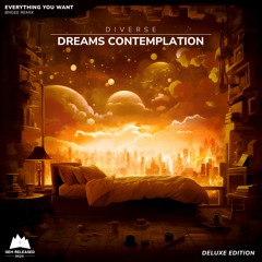 Diverse & RIES - Everything You Want (BNGEE Remix)
