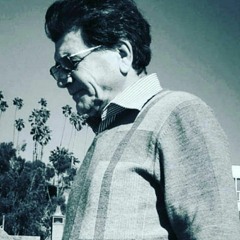 Mohamadreza Shajarian        دلبر برفت