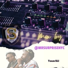 DANCEHALL MIX TRUE FEELINGS