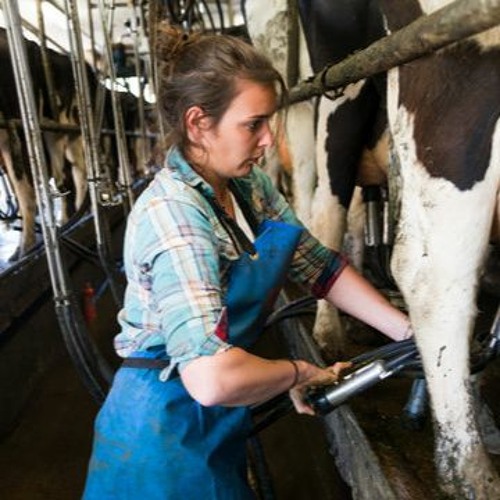 Agfutures provides training in dairy industry