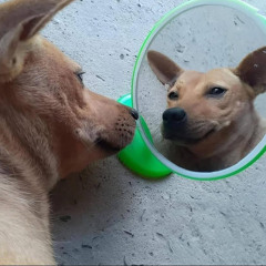 ECLIPSE TRIBEZ INVITE ECLIPSE TRIBEZ - 02 Mai 2025