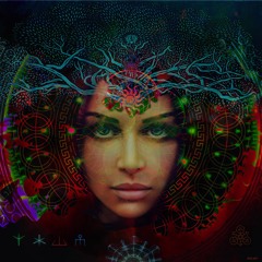 Universal Laws