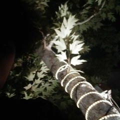 ihateyousnolax - our love was better when nothing was said