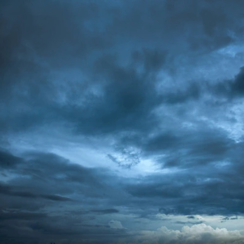 Coke bunny (prod. jaechii)