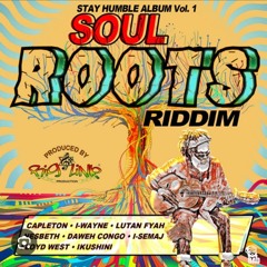 Soul Roots Riddim Mixed By