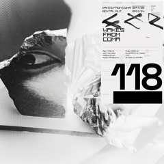 PREMIERE: Risa Taniguchi - Wakes From Coma [CLR118]