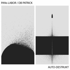 Auto Destrukt (Collab with PANs LABOR)