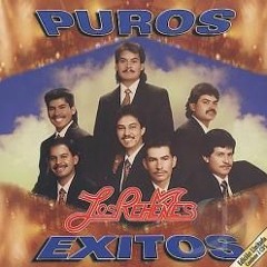 los Reenes Mix Dj Leo