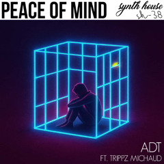 ADT - Peace Of Mind ft. Trippz MIchaud [Synth House Records]