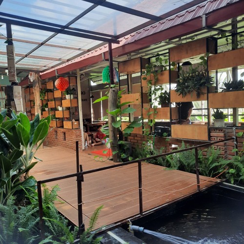 David-Vòng loại văn nghệ Tết 2024