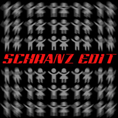 Danijay - II gioco Dell´ amore (Syorth Schranz Edit)