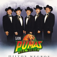 Ojitos Negros