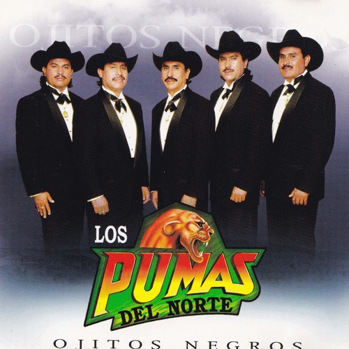 Stream Ojitos Negros by Los Pumas del Norte | Listen online for free on  SoundCloud
