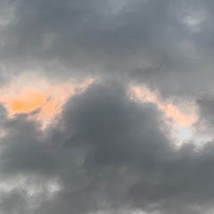 Leftside - 87019423