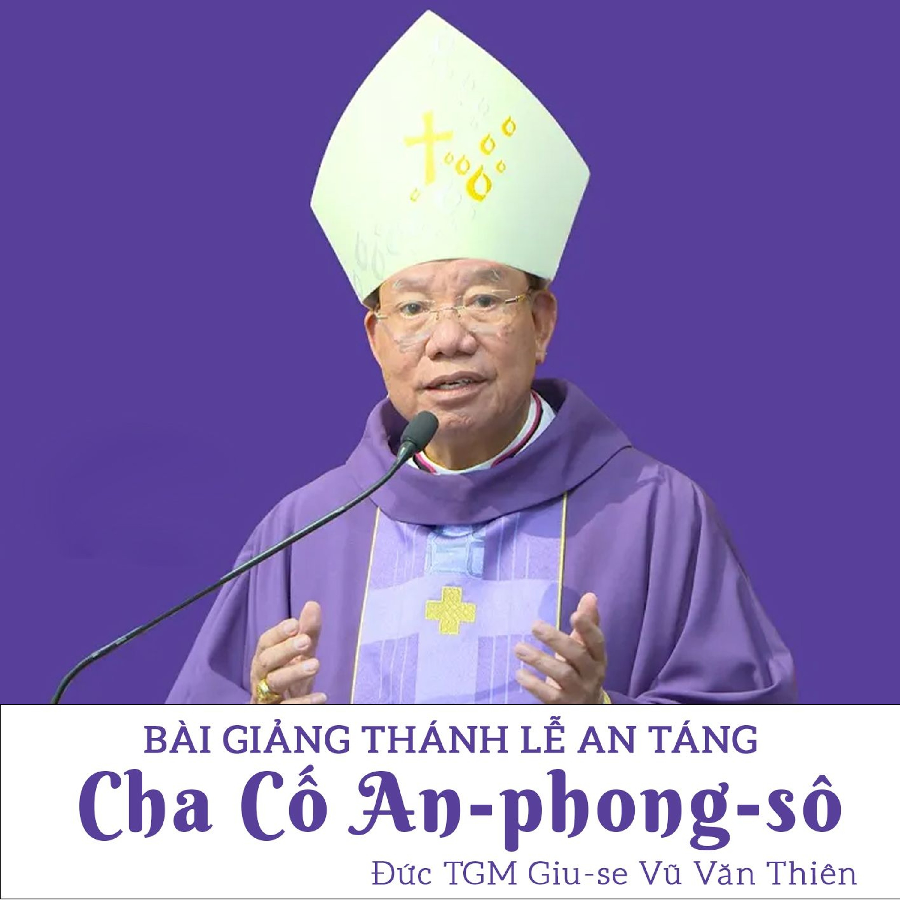 Bài giảng: Thánh lễ an táng cha An-phong-sô Vũ Ngọc Thiên | Đức TGM Giu-se Vũ Văn Thiên episode artwork