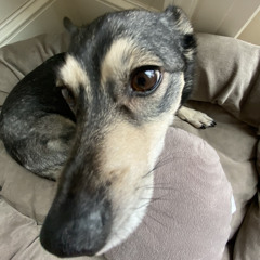 Can u dig it suckas ysr gramz