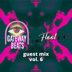 Guest Mix Vol. 6: Floot