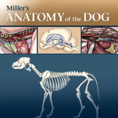 FREE KINDLE 📖 Miller's Anatomy of the Dog by  Howard E. Evans PhD &  Alexander de La