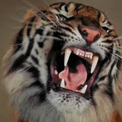 of wrath