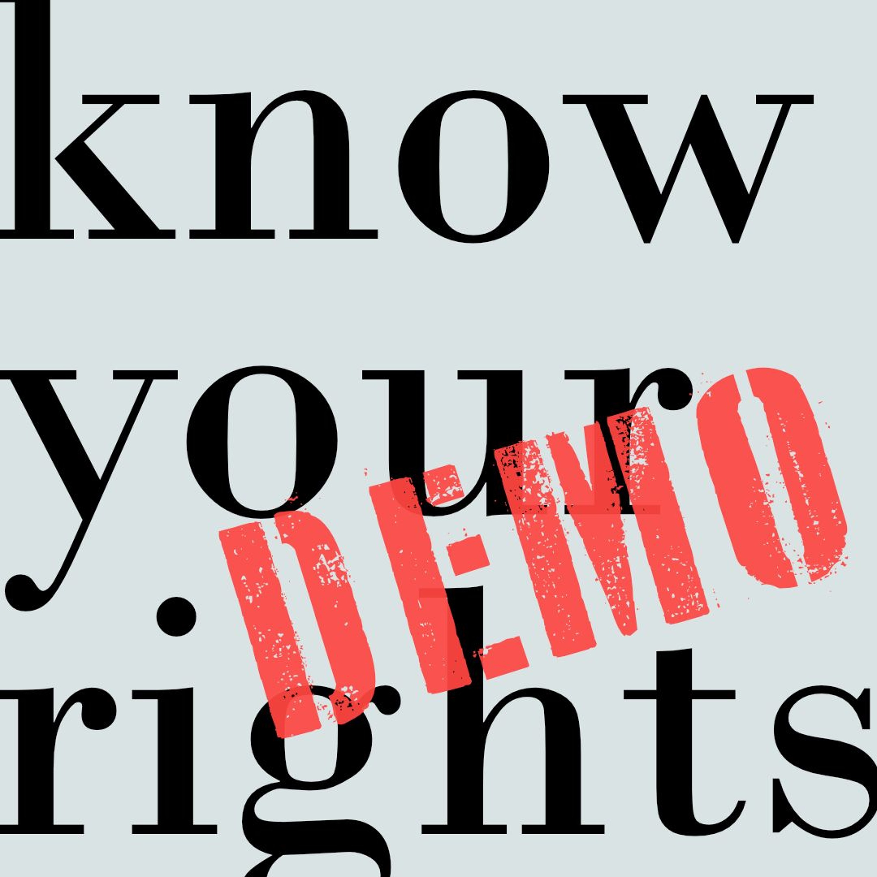 Know Your Demo - Rights II Delikte Und Tatbestände