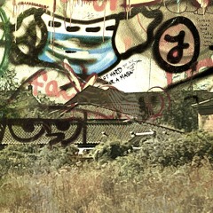 Light Switch W/MURRRR