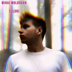 Mihai Moldovan - Culori