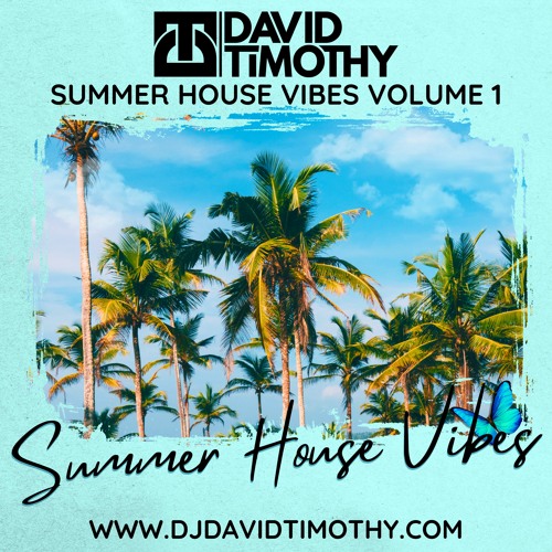 David Timothy - Summer House Vibes Vol 1