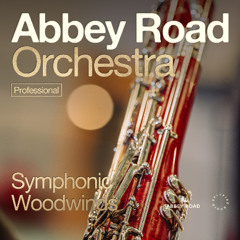 Lucy Hayes – Bassooner or Later (Pro Mix) – Abbey Road Orchestra: Bassoons