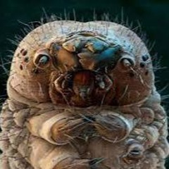 The Thing That Lives Inside David's Mustache (5/17/24)