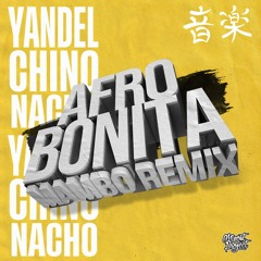 Yandel Ft. Chino & Nacho - Afro Bonita  (Minost Project Mambo Remix)