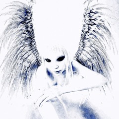 Shyntwirl - °･⁠۝･•Feathered Elegance•･⁠۝･°