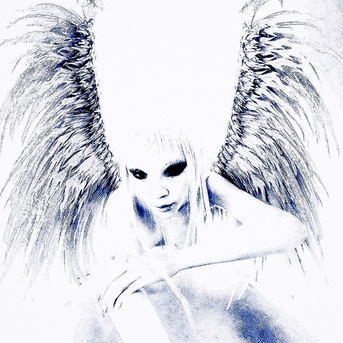 Shyntwirl - °･⁠۝･•Feathered Elegance•･⁠۝･°