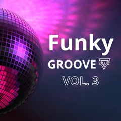 FUNKY GROOVE DJ BLUE VOL. 3 - FIESTA 2024