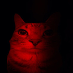 BIRTHDAY (free dl)