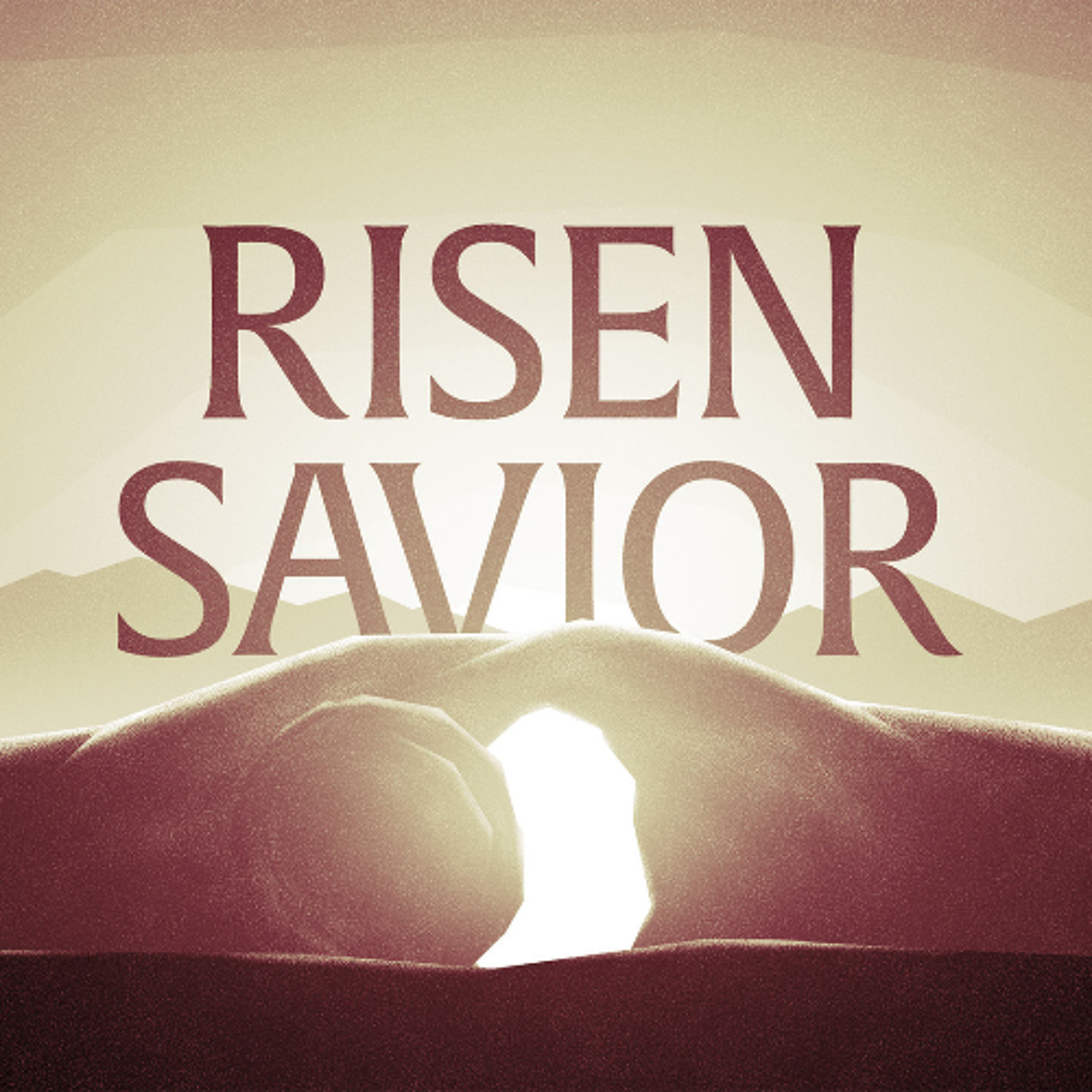 Shaped by The Shepherd