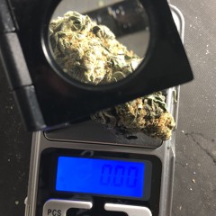 Spykedelik tripz pt.420
