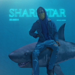 SHARKSTAR🦈